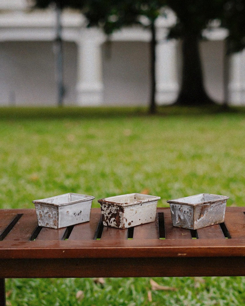 Skar | Sugar container