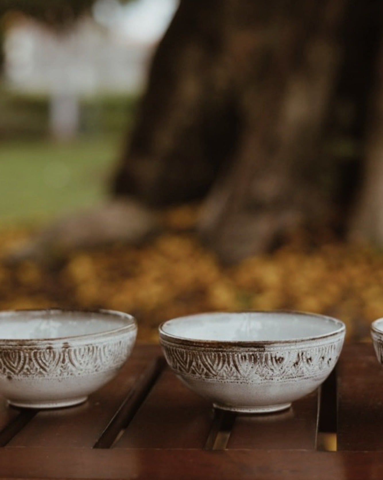 Bai | Rice bowl