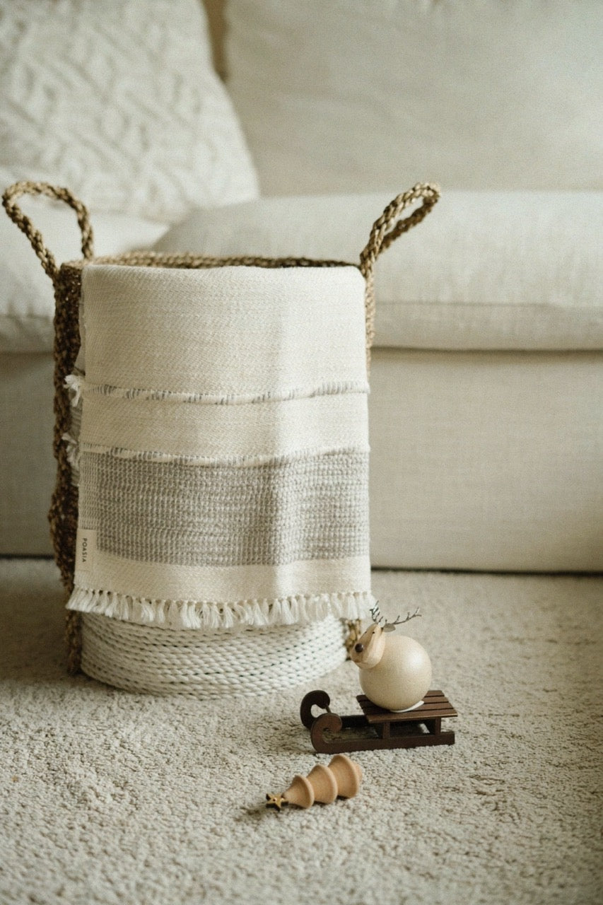 New Collection | Edition Autumn Winter 24'